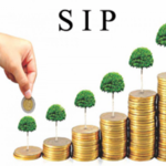 SIP: 2500 रुपयटच्या एसआयपीनं गुंतवणूकदारांना, SBI च्या Mutual Fund दिले दमदार रिटर्न