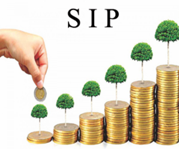 SIP: 2500 रुपयटच्या एसआयपीनं गुंतवणूकदारांना, SBI च्या Mutual Fund दिले दमदार रिटर्न