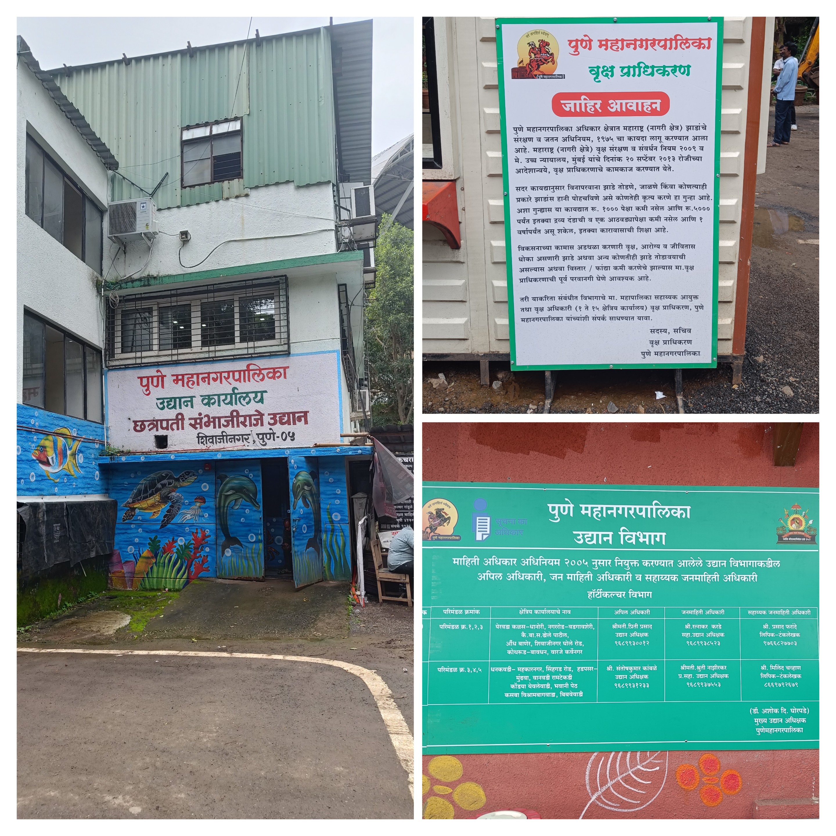 लाखो झाडांची तोड, पण एकही दंड नाही! हे वृक्ष प्राधिकरणाचेच पाप!